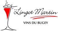 LINGOT-MARTIN