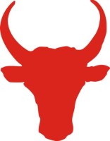 SPECIALISTE DU TAUREAU