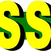 BOSSON SAS
